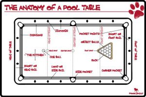 Pool Table Anatomy